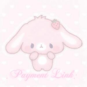 Payment Link°♡༚˚₊·